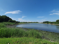 Tokyo Port Wild Bird Park